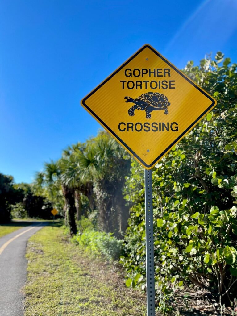 turtle crossing, turtle, tortoise, caution, slow, animal, warning, road, symbol, nature, sanibel island, florida, reserve, sanctuary, parkland, sanibel island, sanibel island, sanibel island, sanibel island, sanibel island, florida